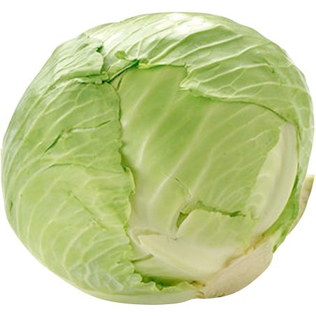 REPOLHO KG