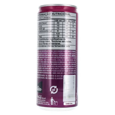 Suco Del Valle Uva Lt 290ml 360-2