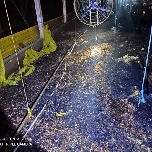 Bombeiros combatem incêndio em aviário no interior de Palmitos