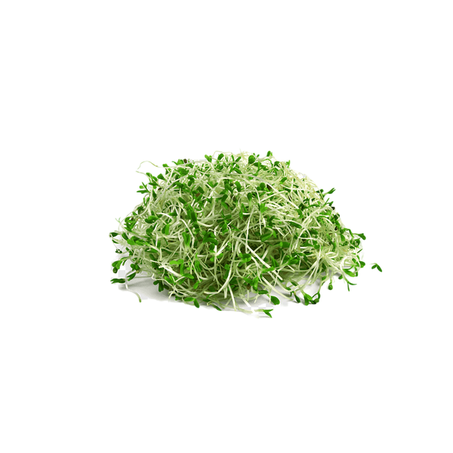 Feira Broto de Alfafa 200g