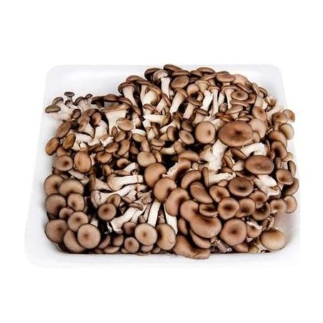 Cogumelo Portal Shimeji 200g
