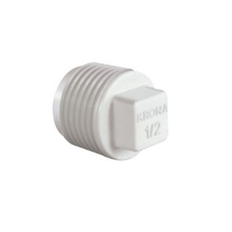 PLUG PARANA ROSCÁVEL 1/2