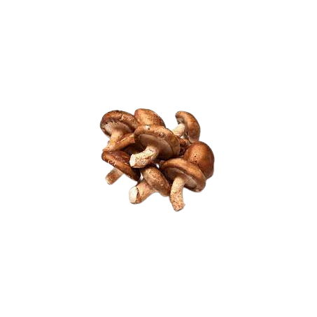 Cogumelo shiitake 200g