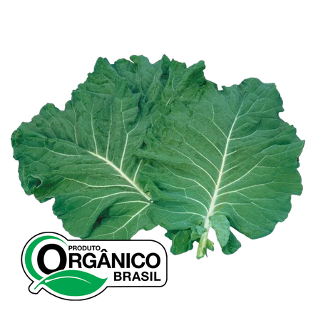 Couve Recanto da Natureza Mineira Orgânica 150g