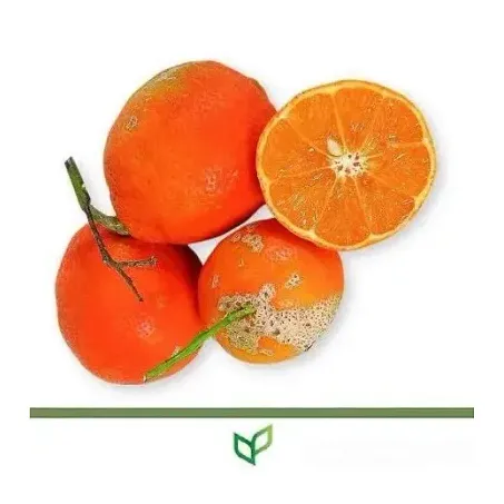 Limão comum 500g aproximado 4 unidades)