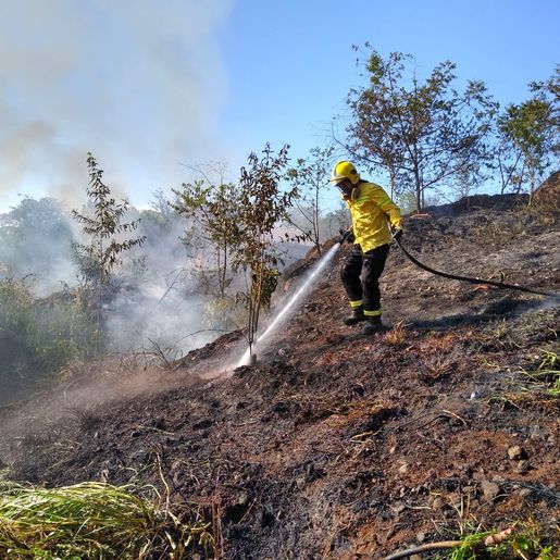 Bombeiros combatem incêndio em vegetação em Itapiranga 