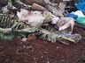 Lixo depositado irregularmente em local de preservação em Princesa