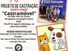 Mutirão de castração de cães e gatos será realizado dia 27, em São João do Oeste