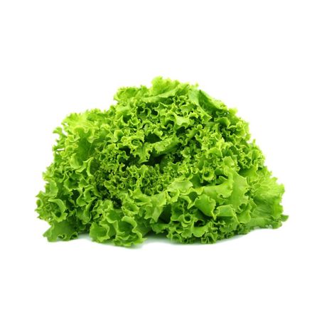 Alface Crespa Verde UN