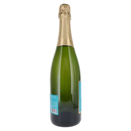 ESPUMANTE SALTON SERIES BRUT 750ML 360-26