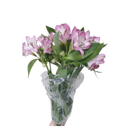 Flor maço alstroemeria