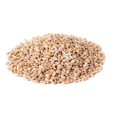 CEVADA EM GRÃO 500G