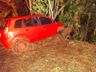 Veículo sai da pista e colide em árvores no interior do município de Riqueza