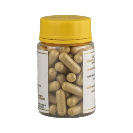 PÓLEN APÍCOLA DESIDRATADO 500MG 60CAPSULAS CASA DO MEL 360-2