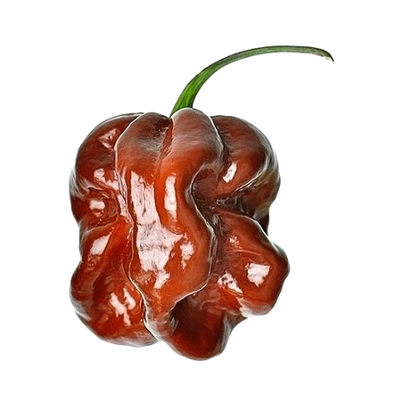 PIMENTA HABANERO CHOCOLATE