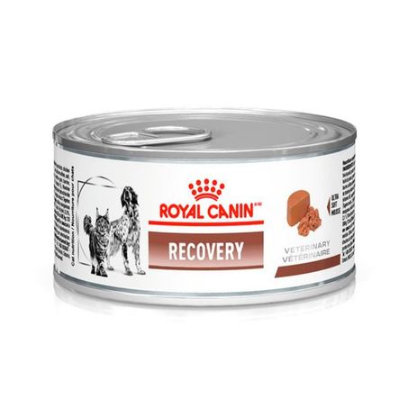 Ração Úmida Royal Canin Lata Veterinary Diet Recovery para Cães e Gatos em Recuperação 195Gr