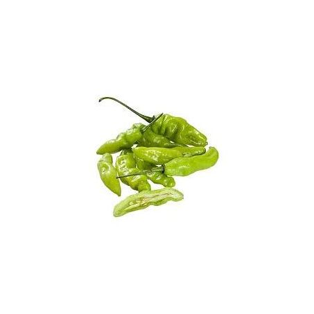PIMENTA DE CHEIRO