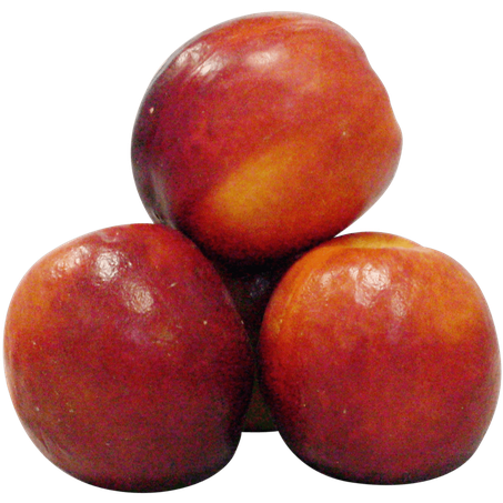 Nectarina importada kg