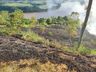 Incêndio em vegetação mobiliza bombeiros de Itapiranga