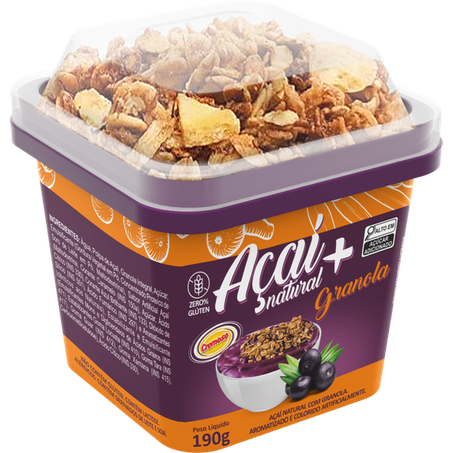 SORV CREMOSO ACAI C/GRA 190G