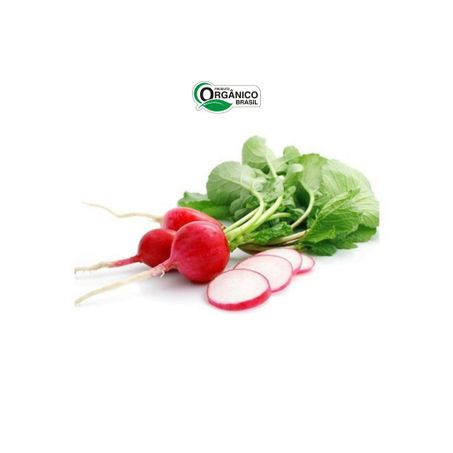Rabanete Orgânico Econativa 400g