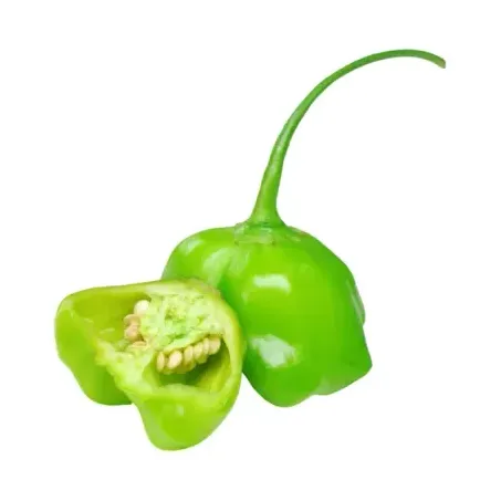 Pimenta Cambuci Kg