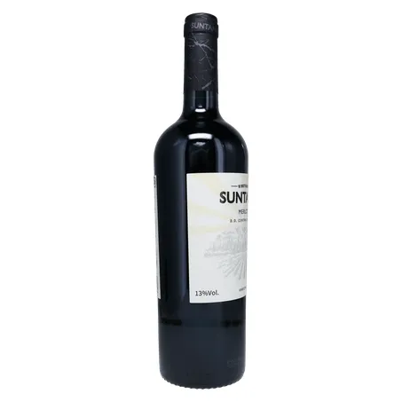 Vinho chileno suntana merlot 750ml 360-29