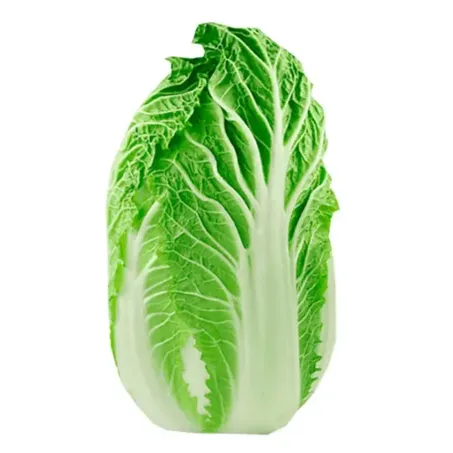Acelga 500g Noemia