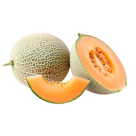 MELÃO CANTALUPE KG 360-1