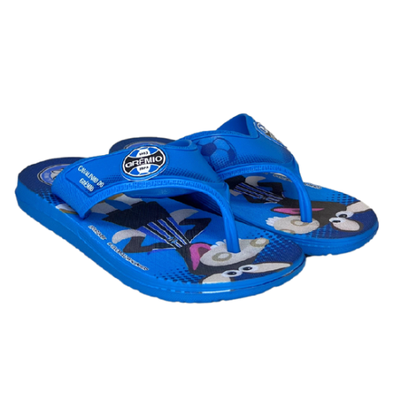 CHINELO IPANEMA CAVALINHO FANTASTICO AZUL N° 25 REF. 32188