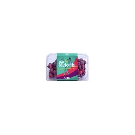 UVA MELODIA 500GR
