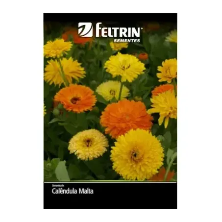 Semente Calêndula Malta 350mg