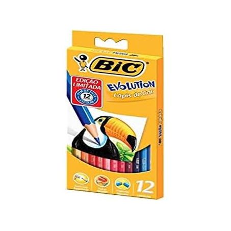 Lapis de cor bic c/12 cores