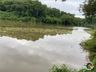 VÍDEO: Fenômeno 'Alface d'água' chega pelo Rio Peperi em Itapiranga
