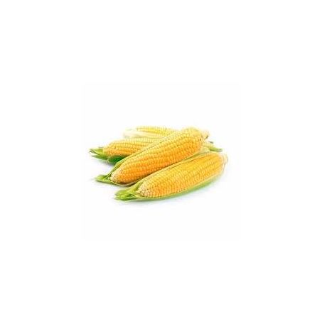 MILHO VERDE KG