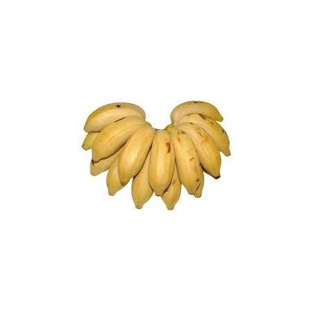 BANANA MACA KG
