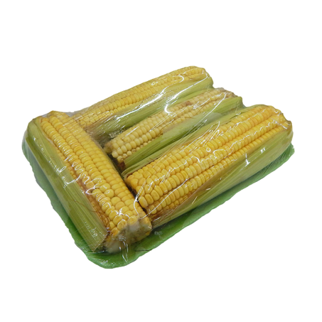LEGUME MILHO VERDE CEASA 500G