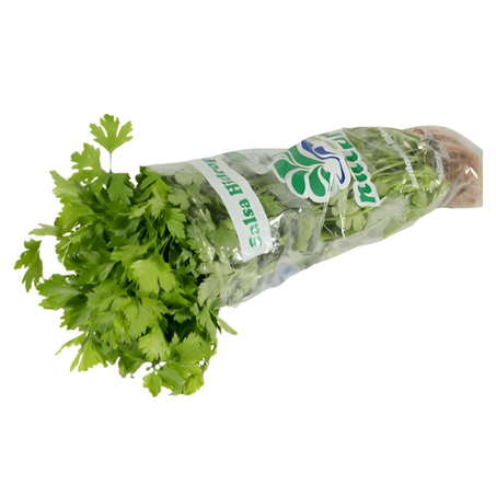 SALSA HIDROPÔNICA UN