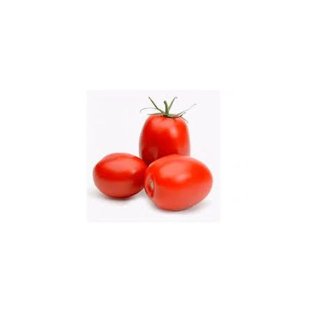 TOMATE SALADETE A KG
