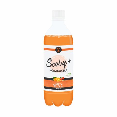 BEBIDA ARTESANAL KOMBUCHA SCOBY VITA C 500ML