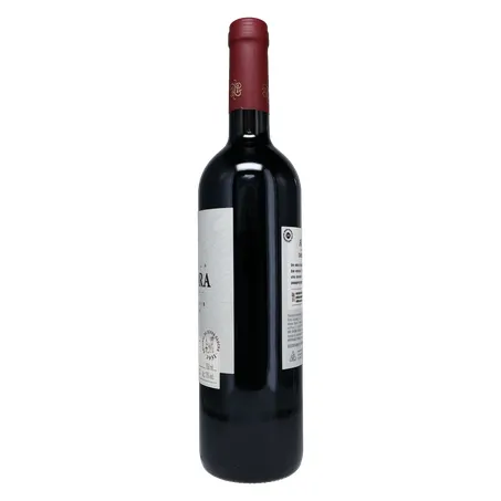 VINHO TINTO AURORA CABERNET SAUVIGNON 750ML 360-9