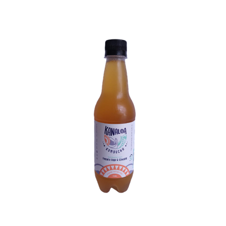 Kombucha pimenta com gengibre kanaloa 440ml
