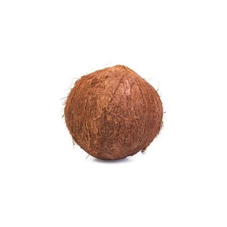 COCO SECO KG