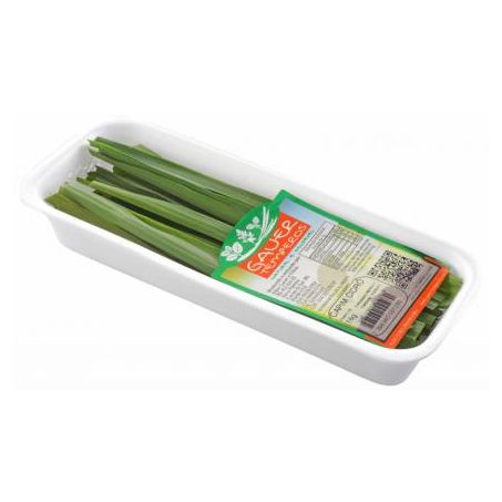 Capim cidró gauer 16g
