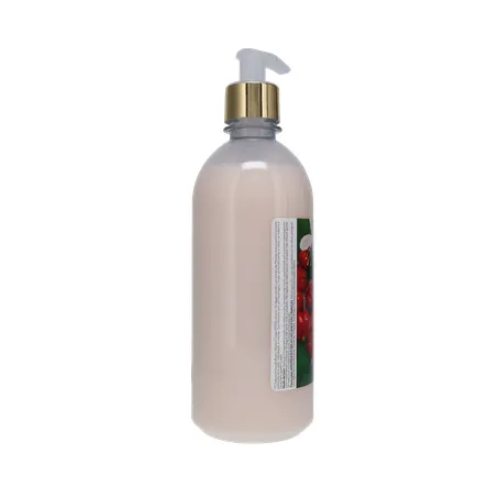 Sabonete Líquido H2OH! Pitanga Frasco 500ml 360-22