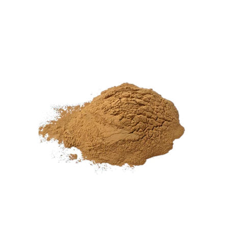 SALSAPARRILHA EM PÓ 100G