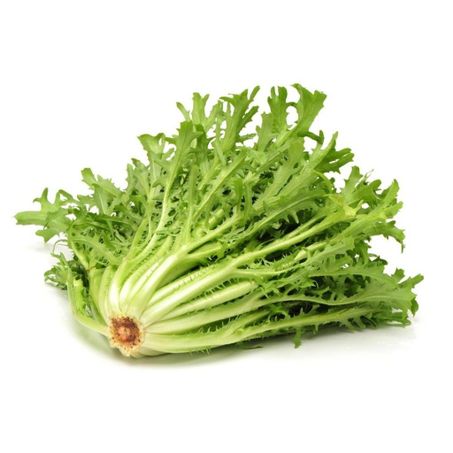 Chicoria un
