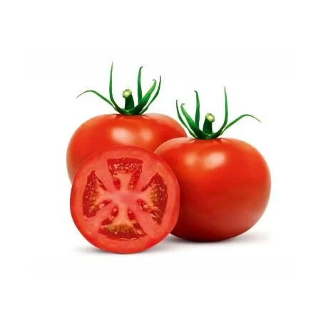 TOMATE LONGA VIDA KG 360-1