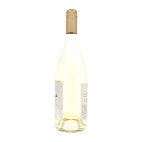 Vinho Aurora Varietal 750ml - Chardonnay 360-1