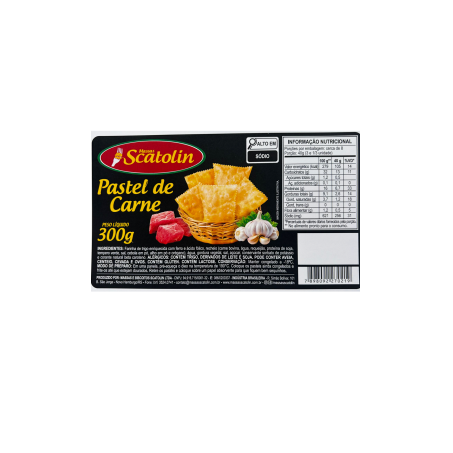 PASTEL SCATOLIN 300G CARNE